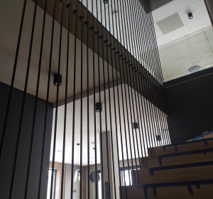 metaloplastyka inne